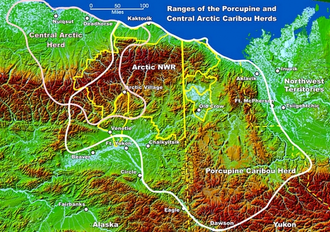 The ranges of the Porcupine and Central Arctic caribou herd are outlined in white on this map of northern Alaska and western Canada. Gwich&#39;in villages are also identified.  Map courtesy of the U.S. Fish and Wildlife Service.