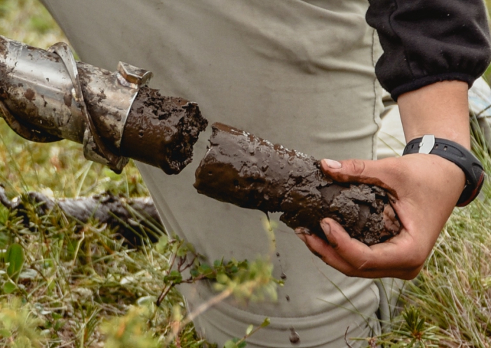 Soil samples are important stores of information on how warming temperatures and wildfires are altering the geochemistry of the Arctic. Photo courtesy of  John Schade.