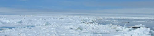 (Figure 1) 9 June 2013, zoomed pic of Shishmaref boat launch