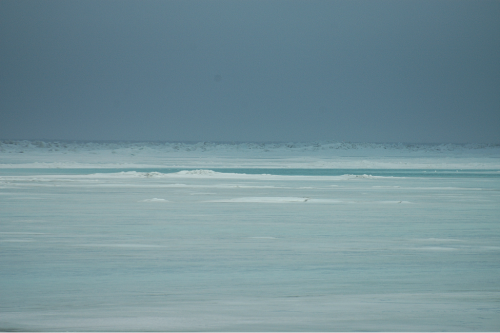 Image 1: 1 May 2014 - Looking northeast from town. Large melt pond forming from coastal runoff.