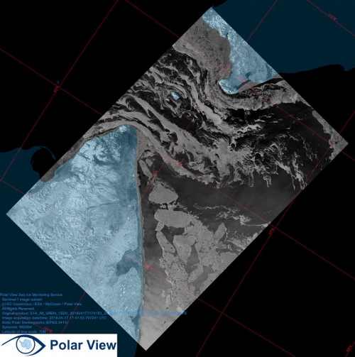 Polar View