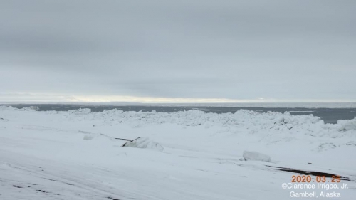 Sea ice conditions at Gambell, Alaska, view 2.