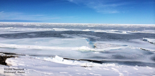 Nearshor ice conditions in Shishmaref.