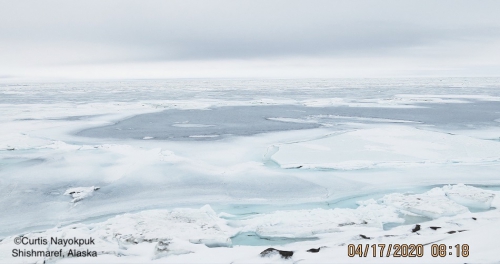 Nearshore ice conditions in Shishmaref looking north.