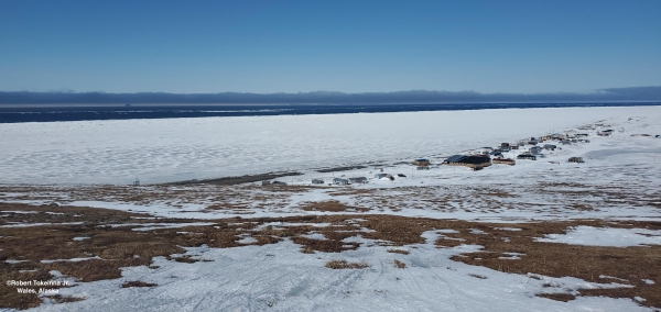 Nearshore ice conditions in Wales - view 2.