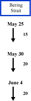 Bering Strait wind direction and speed