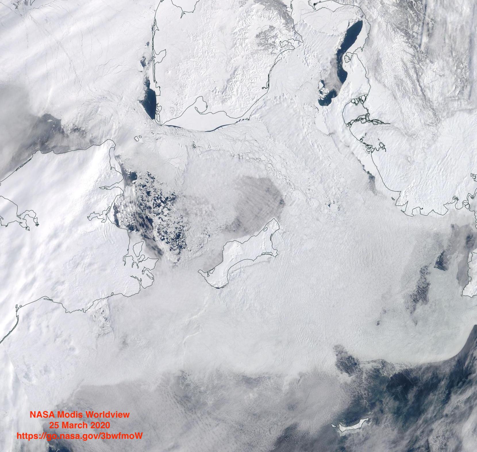 NASA MODIS Worldview sea ice image