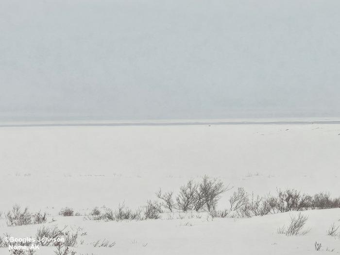 View from the first hill off the coast looking south at the Bering Sea - view 2. Photo courtesy of Boogles Johnson.