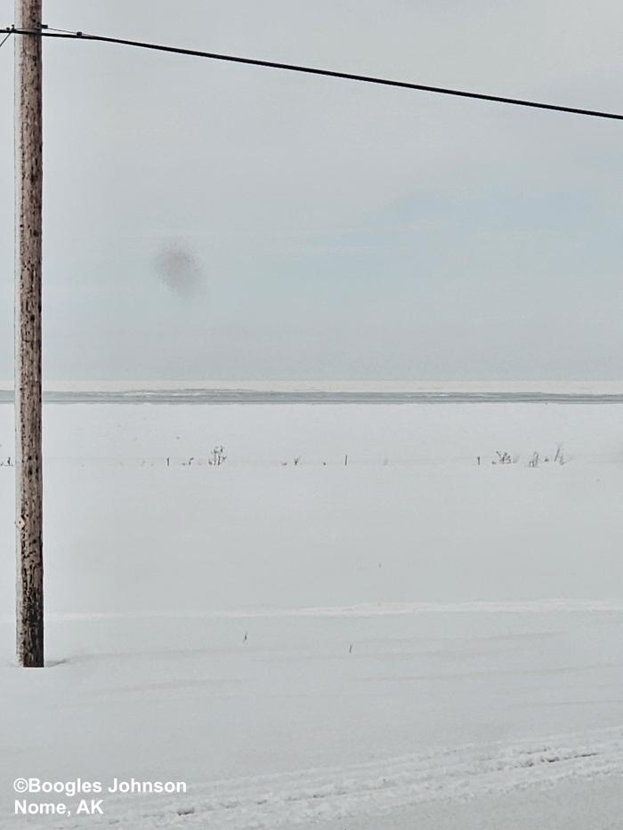 View from the first hill off the coast looking south at the Bering Sea - view 6. Photo courtesy of Boogles Johnson.