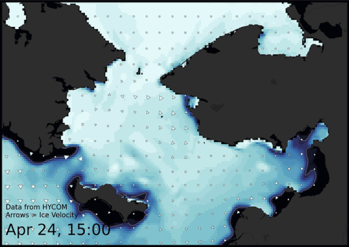 Visit the SIWO Facebook page @seaiceforwalrus to view this animation showing the predicted movement of ice predicted by the HYbrid Coordinate Ocean Model (HYCOM).