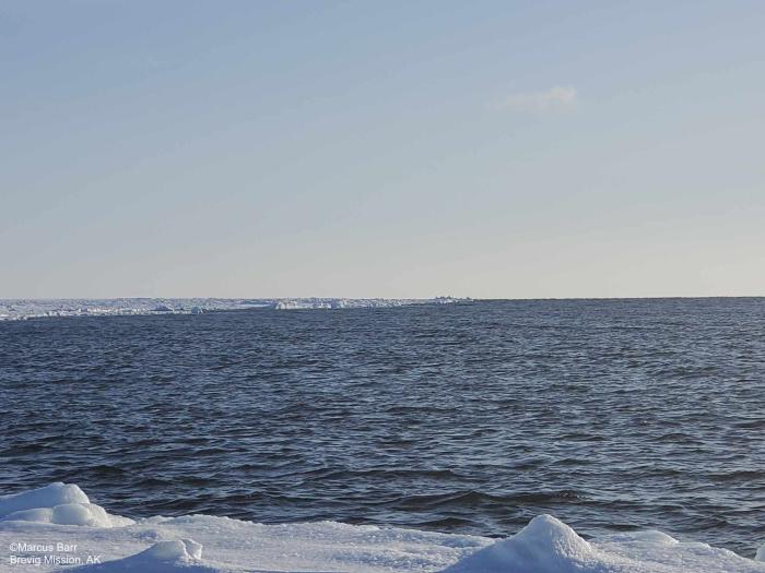 Weather and sea ice conditions between Port Clarence point and the beach west of Brevig about 8 miles - view 2. Photo courtesy of Marcus Barr.