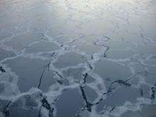 Thin sea ice forming in Chukchi Sea. Aboard the USCGC Healy icebreaker. Photo by Chantelle Rose (PolarTREC 2011)